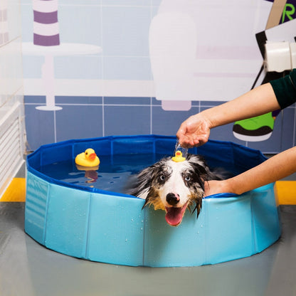 PORTABLE DOG POOL