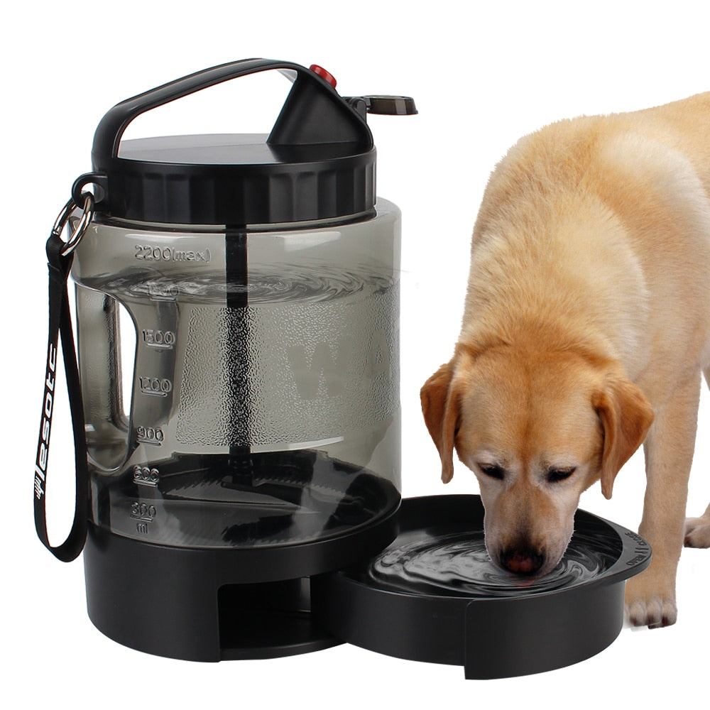 Outdoor Dog Water Jug